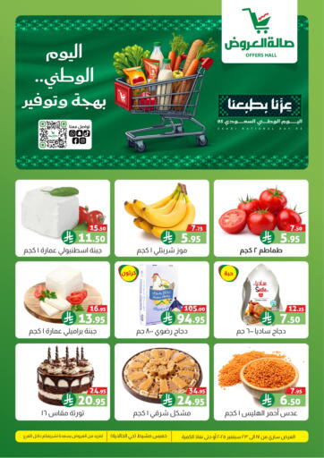 Saudi National Day 95 من صالة العروض